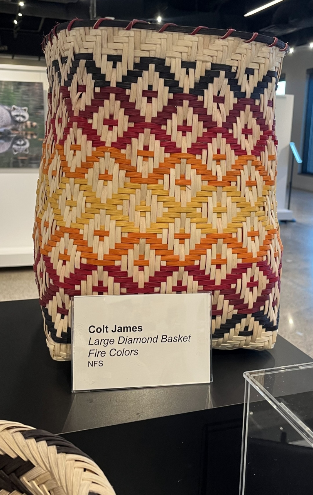 Colton James artist image